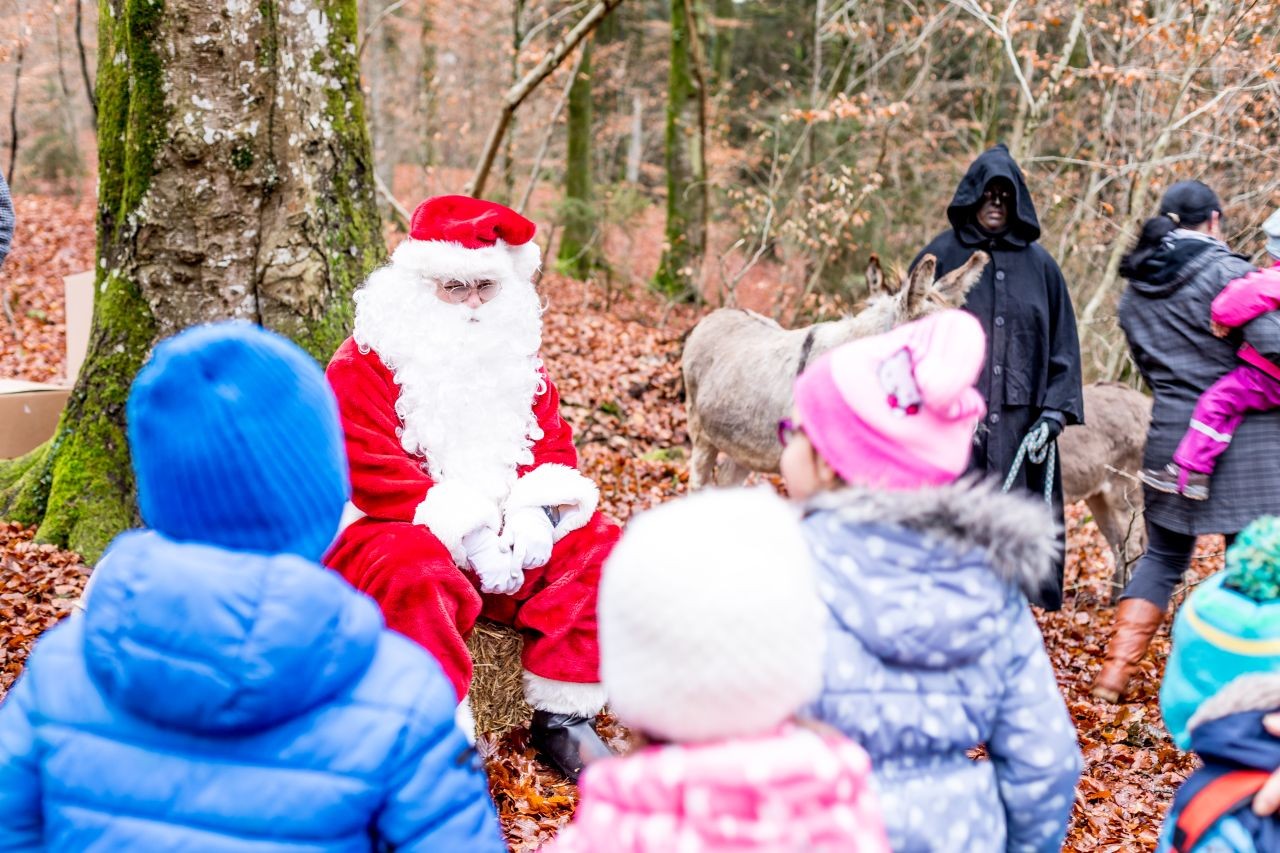 Samichlaus-Besuch beim Erdmannlistein